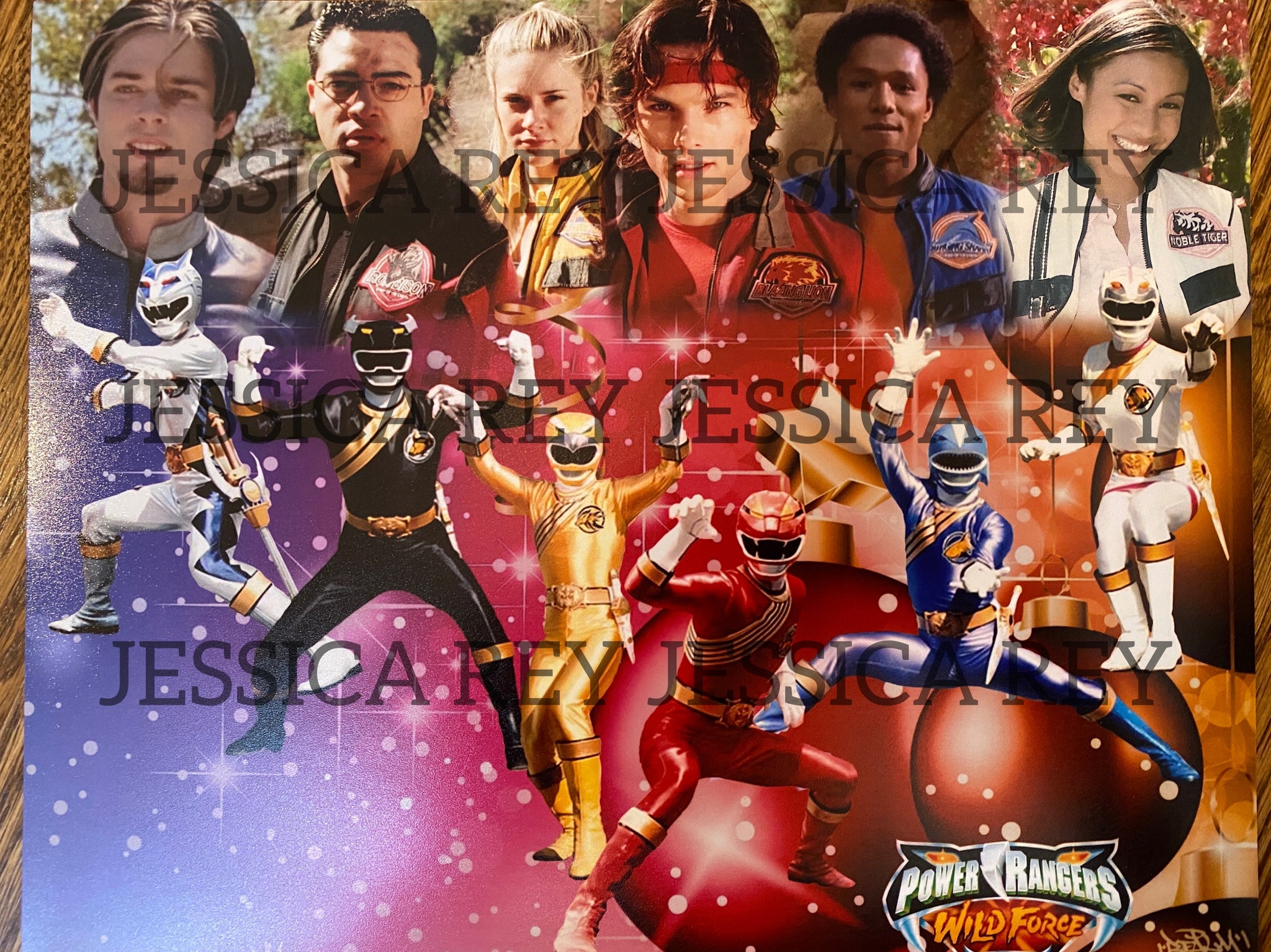 Power Rangers Wild Force Cast